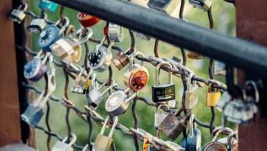 Protect Your Investments with a gooseneck lock Safeguarding