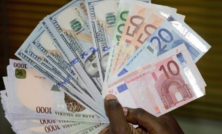 naira-nigerias-currency-backbone this blog isintersting andofficial currency of Nigeria economic about naira.